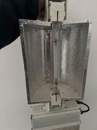 Lámpara de cultivo interior