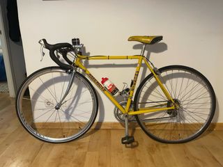 Bicicleta Mendiz Clásica + Sillín Marco Pantani