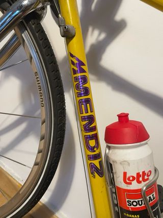 Bicicleta Mendiz Clásica + Sillín Marco Pantani