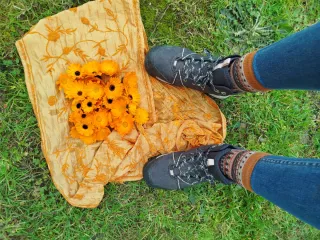 Aceite de Caléndula 60ml 7,50€