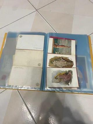 58 Cartoline d'epoca