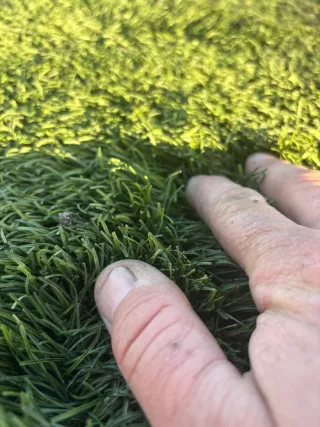 Césped artificial para exteriores