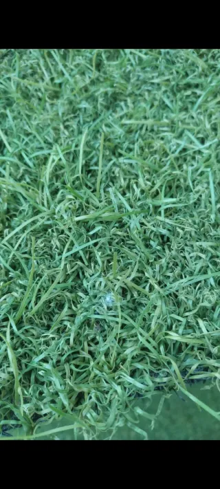 Césped artificial para exteriores