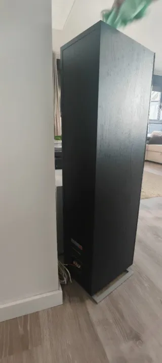 Altavoces Dali Zensor 7 Negro