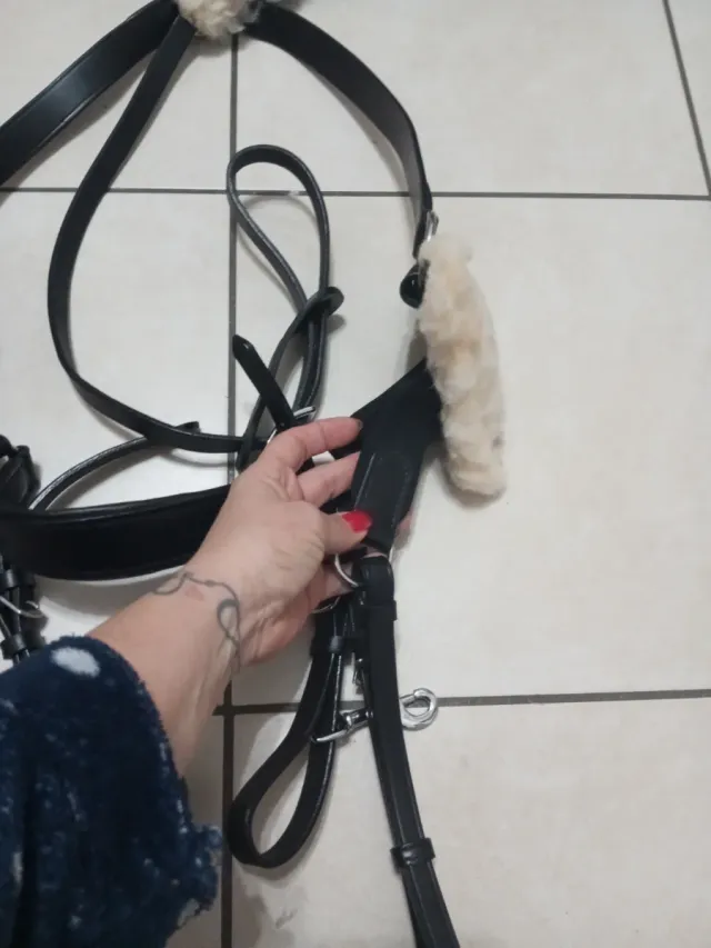 Pettorale Cwell Equipe 5 punti