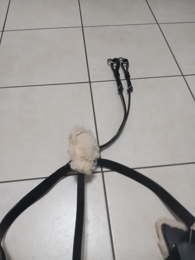 Pettorale Cwell Equipe 5 punti