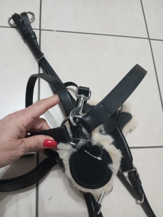 Pettorale Cwell Equipe 5 punti