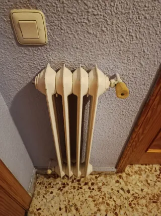 Radiadores de hierro fundido blancos