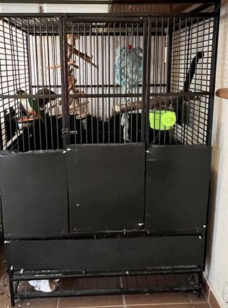 Jaula para loros