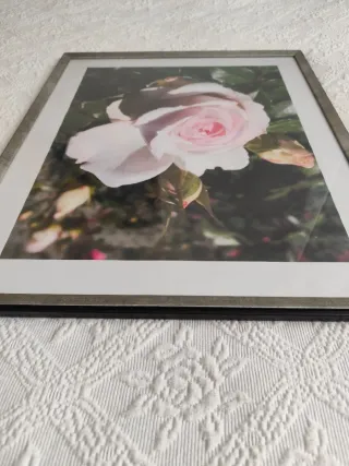 Cuadro Rosa Marco Madera y Metal