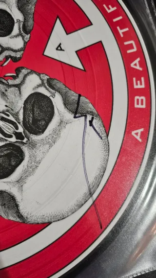 30 Seconds to Mars A Beautiful Lie Vinile Autograf