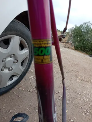 Bicicleta Orbea Sierra Nevada Antigua