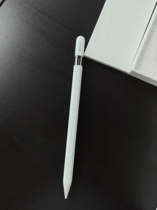Apple Pencil USB-C Original (no permutas)