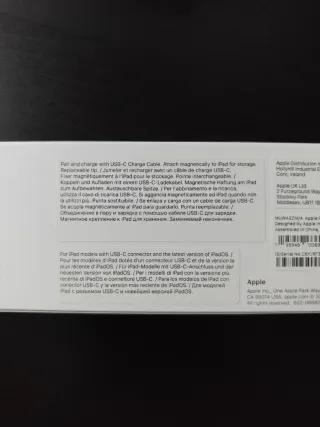 Apple Pencil USB-C Original (no permutas)