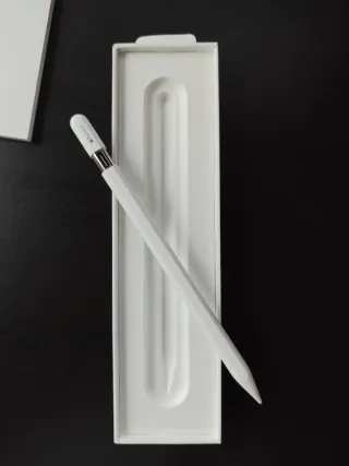 Apple Pencil USB-C Original (no permutas)