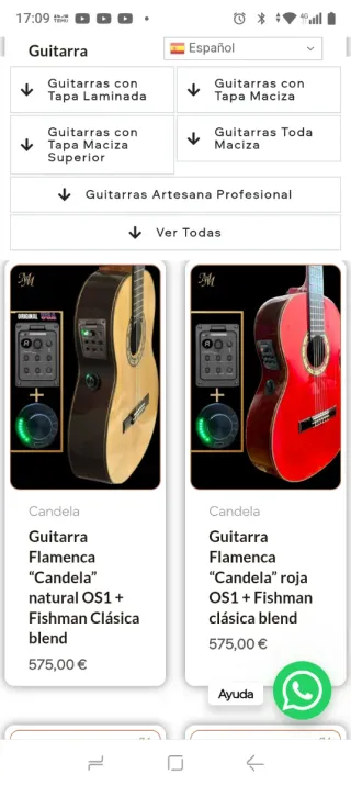 Guitarra Flamenca Doble Amplificación