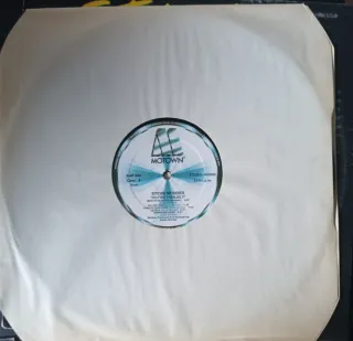 LP 1980 Vinilo Stevie Wonder - Hotter Than July