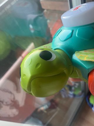 Tortuga Fisher Price para gatear