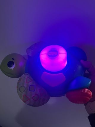 Tortuga Fisher Price para gatear