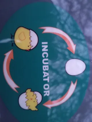 Incubadora de huevos Enjoy Your Smart Life