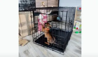 Jaula para perros negra