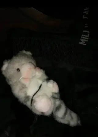 Beauty Case/Borsello CAMOMILLA nero,adatto sia Don