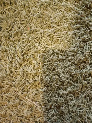 URGE!!!! Alfombra verde mullida