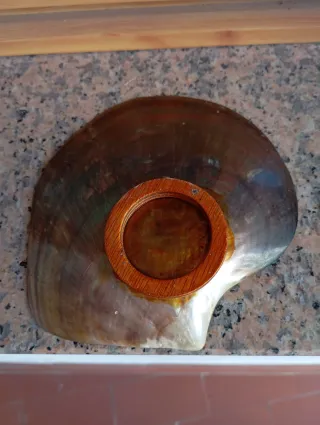 Concha Nácar Nueva Caledonia