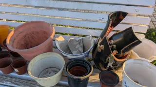 Lote Macetas Cerámica y Plástico