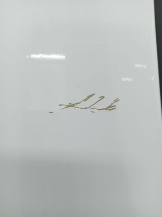 PUERTA DELANTERA DERECHA PEUGEOT BOXER COMBI