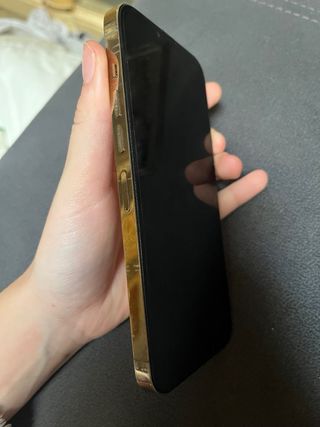 iPhone 13 Pro Max 256GB Oro/Plata