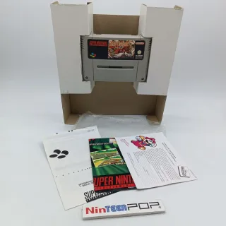Secret of Evermore Super Nintendo