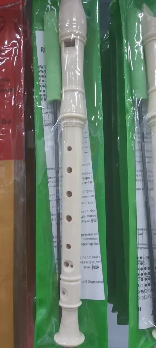 Flauto scolastico in plastica