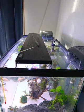 Acuario 55L Completo