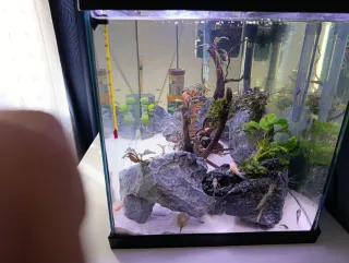 Acuario 55L Completo