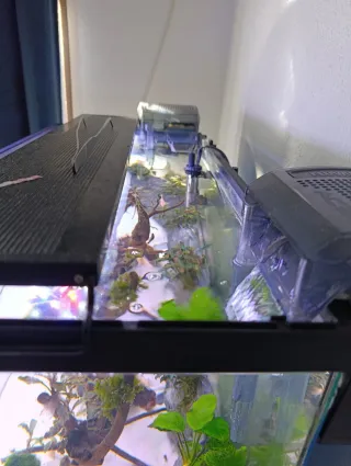 Acuario 55L Completo