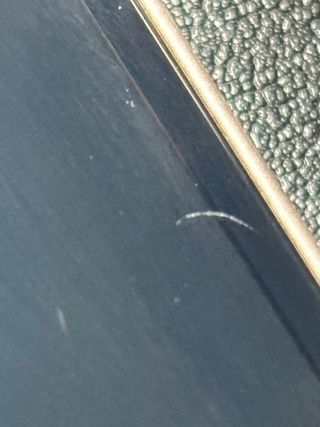 iPhone 13 mini blanco