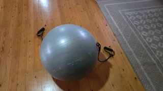 Pelota de gimnasia con cintas para brazos