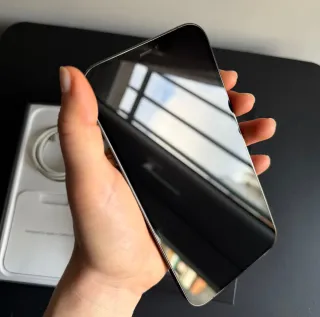 iPhone 12 Pro Max 256GB