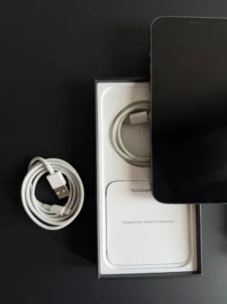 iPhone 12 Pro Max 256GB