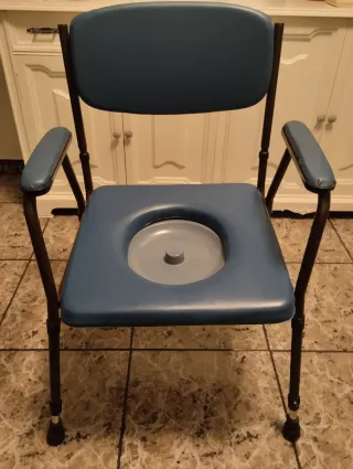 Silla WC Acolchada con Inodoro Portátil
