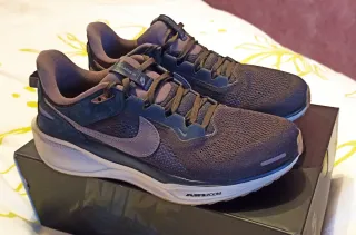 Nike Pegasus Air Zoom 41 SP Color Marrón