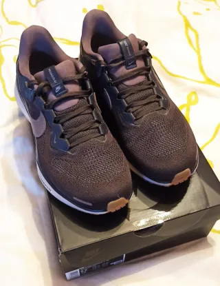 Nike Pegasus Air Zoom 41 SP Color Marrón