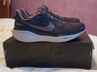 Nike Pegasus Air Zoom 41 SP Color Marrón