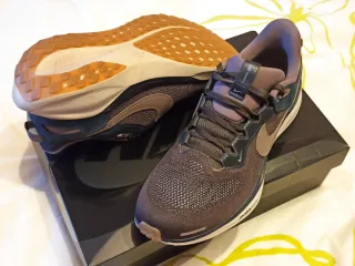 Nike Pegasus Air Zoom 41 SP Color Marrón