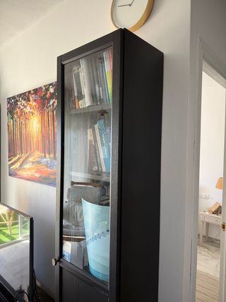Estanteria Ikea Negra con Puerta de Cristal