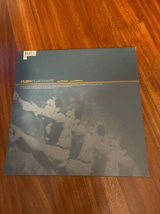 Hush / Fluctuate Dance Electro Vinilo