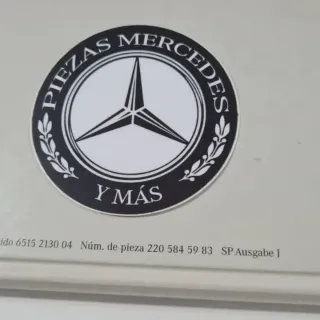 Instrucciones Mercedes S w220