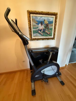 Bicicleta Estática Eléctrica ION