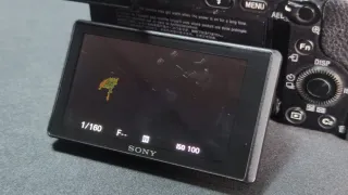 Sony a6300 + Objetivo 16-50